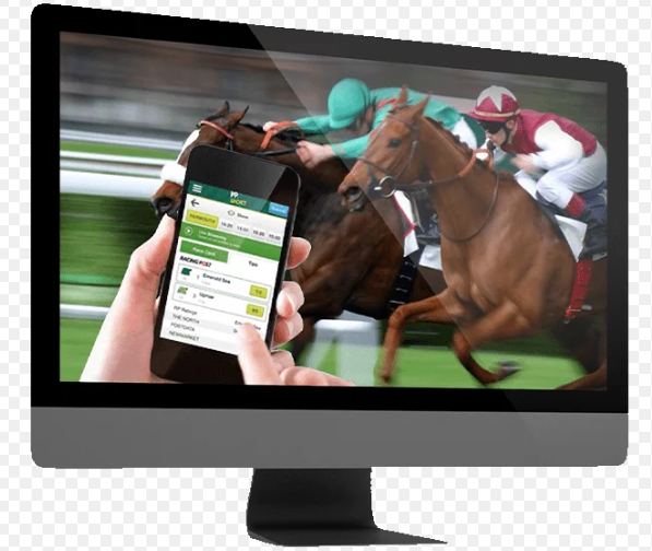 Best SEO Strategies For Horse Racing Blogs