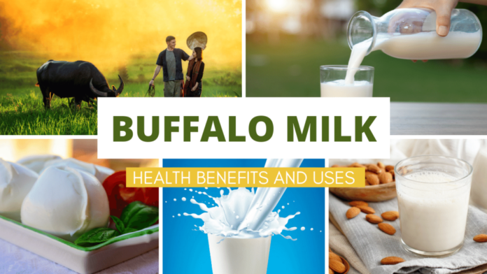 Discover the Rich Taste of Buffalo Milk Tag: Benefits & Uses